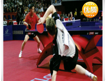 乒乓球運(yùn)動(dòng)地板TARAFLEX?